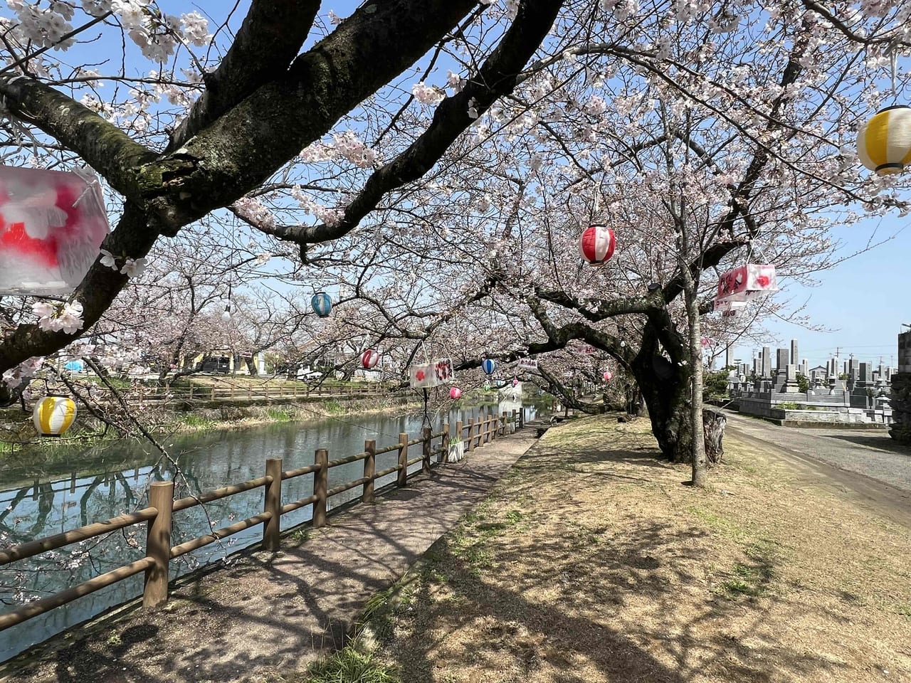 アンティーク) 小紋 バチエリ たくさんの花-