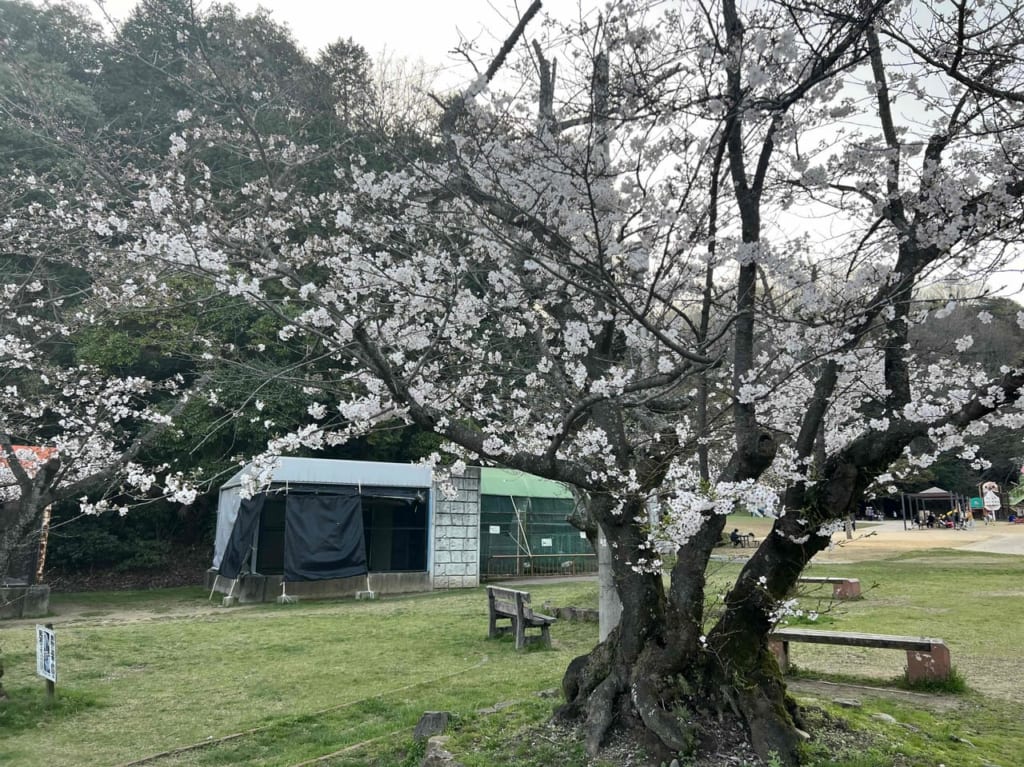 滝の宮公園