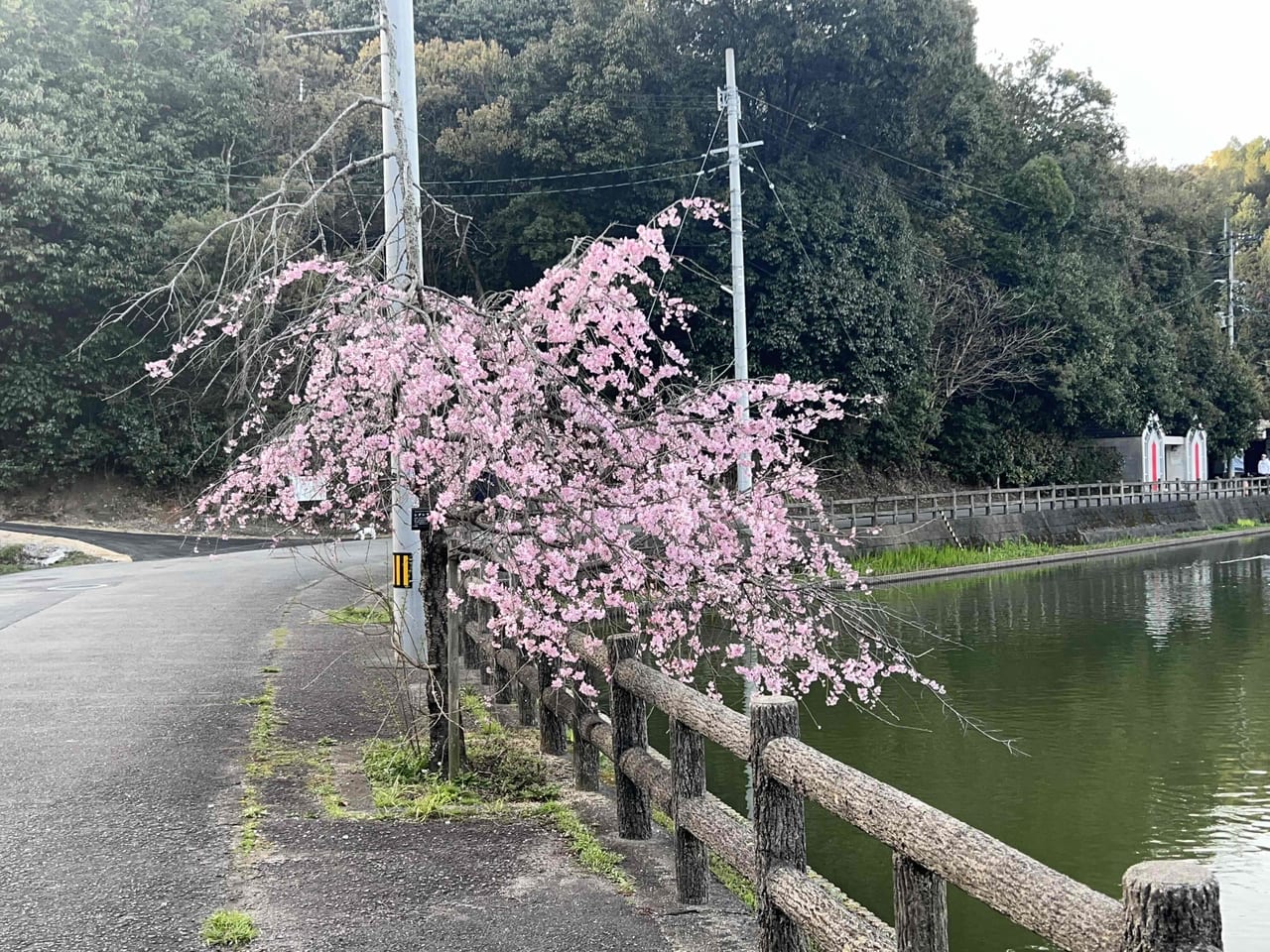 滝の宮公園