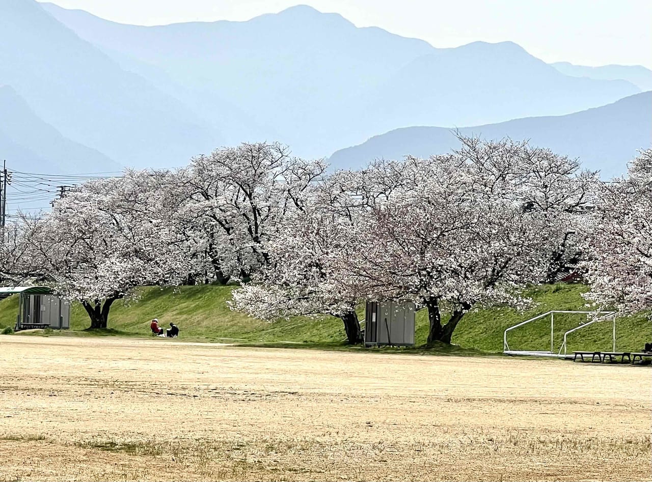 国領川緑地