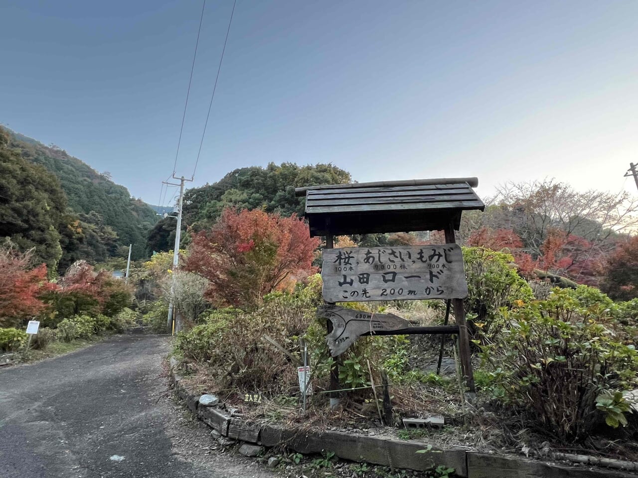 あじさいロード山田