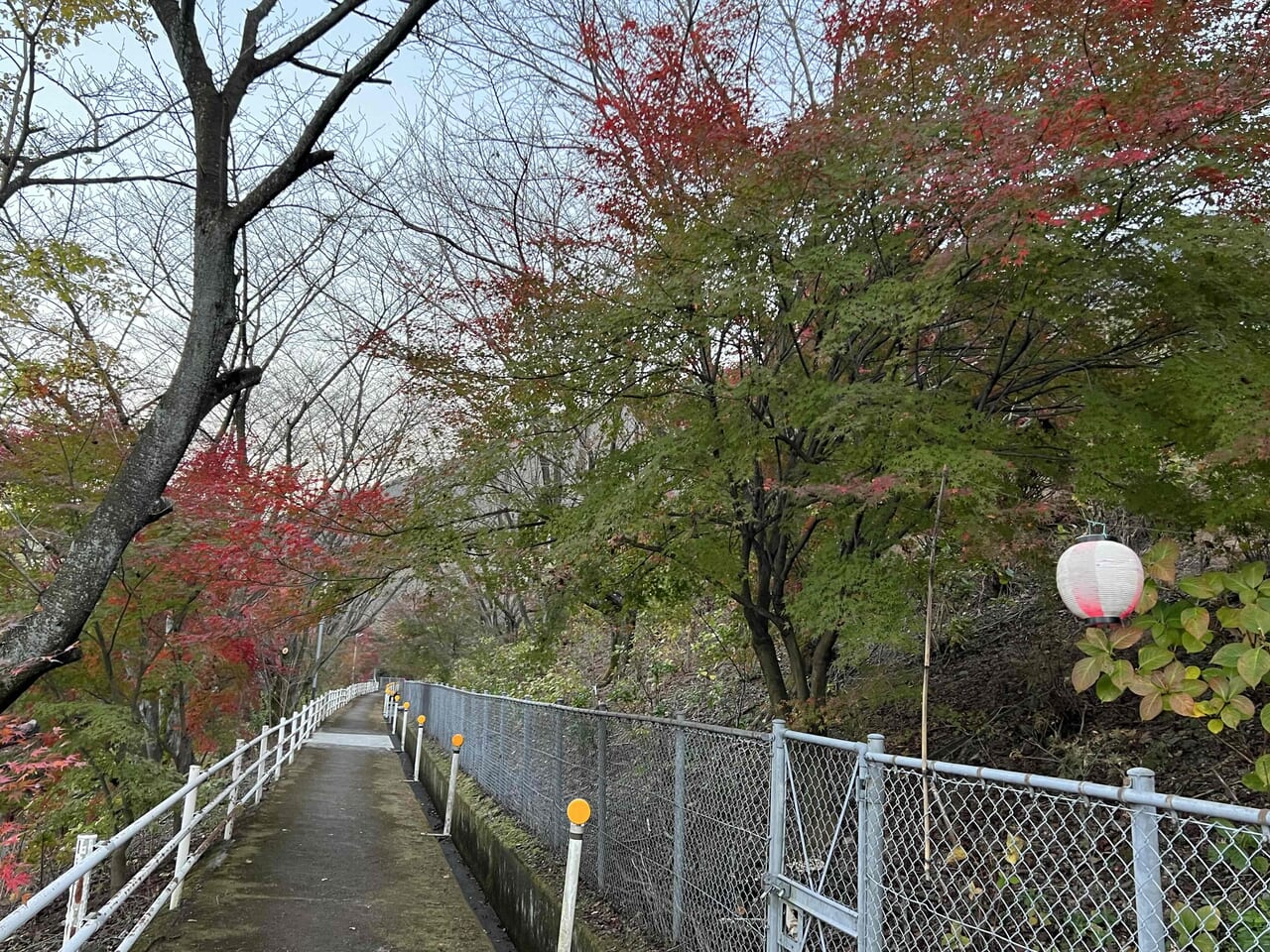 あじさいロード山田