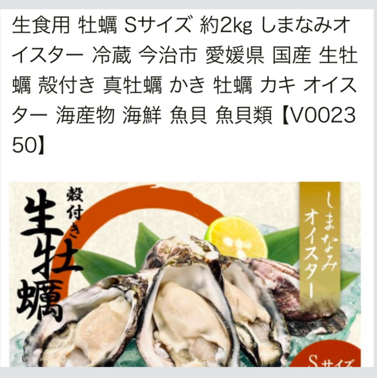 天保山町の「おさかな市場」で年末に向けカニやホタテの予約受付がスタート!!