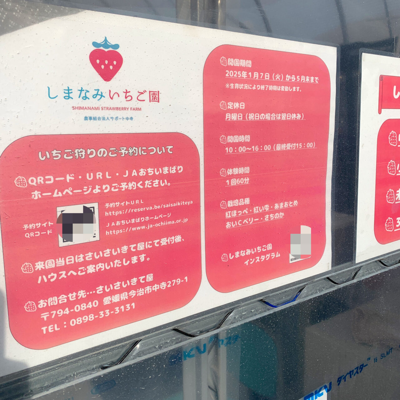 【今治市】今治市の話題! 1月7日、5種類のいちご狩りを楽しめる「しまなみいちご園」がオープン!