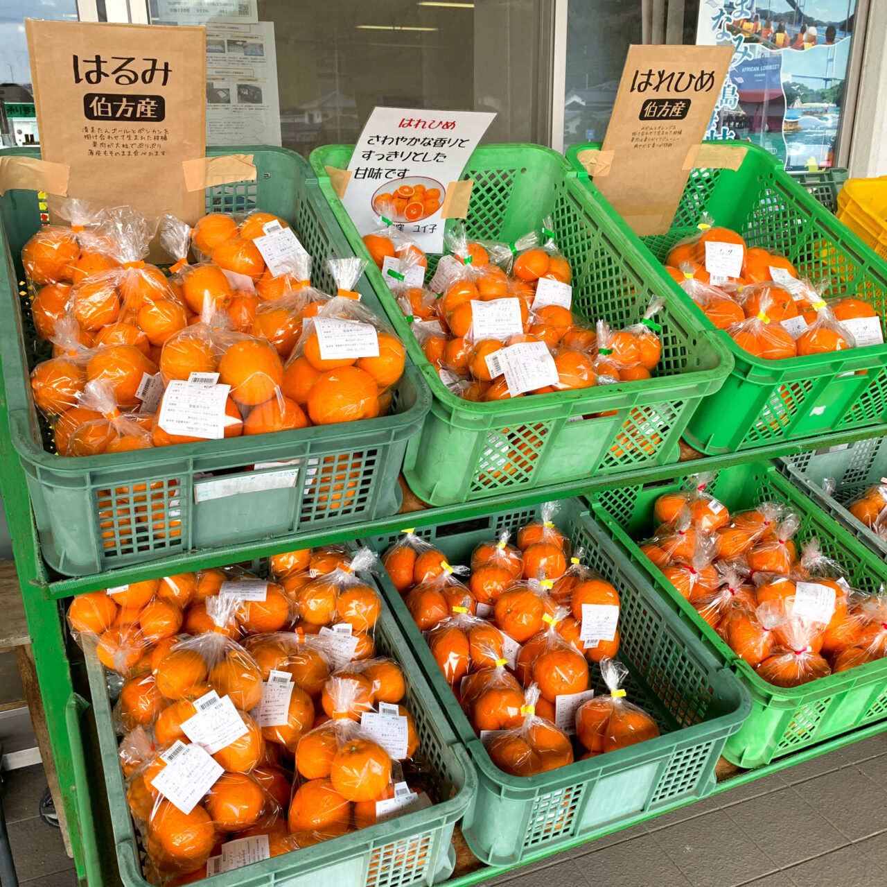 【今治市】期間ごとに内容の変わる贅沢なラーメンたちが伯方島の道の駅「マリンオアシスはかた」で販売中です!