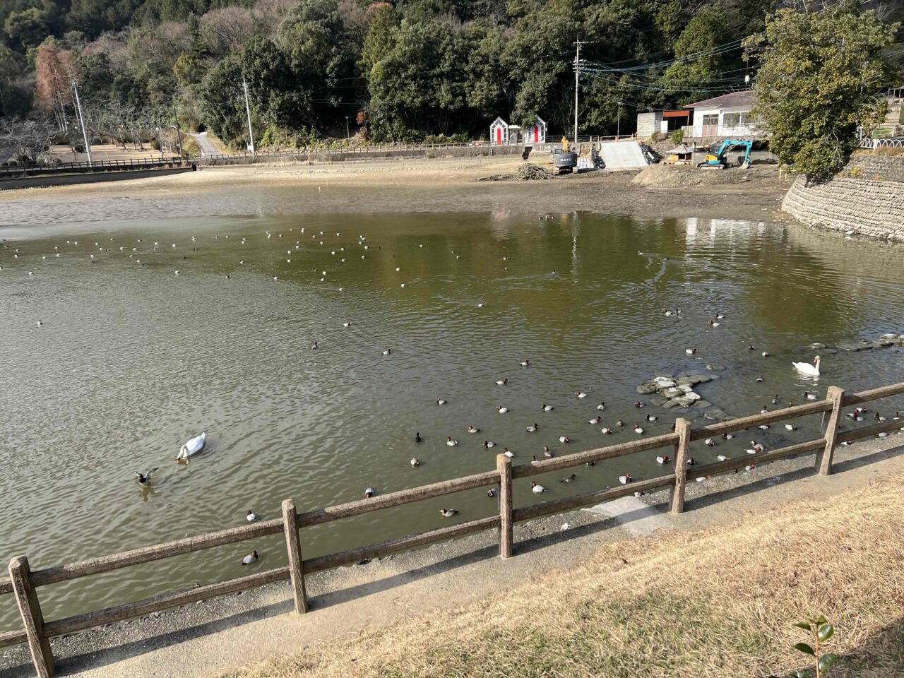 滝の宮公園