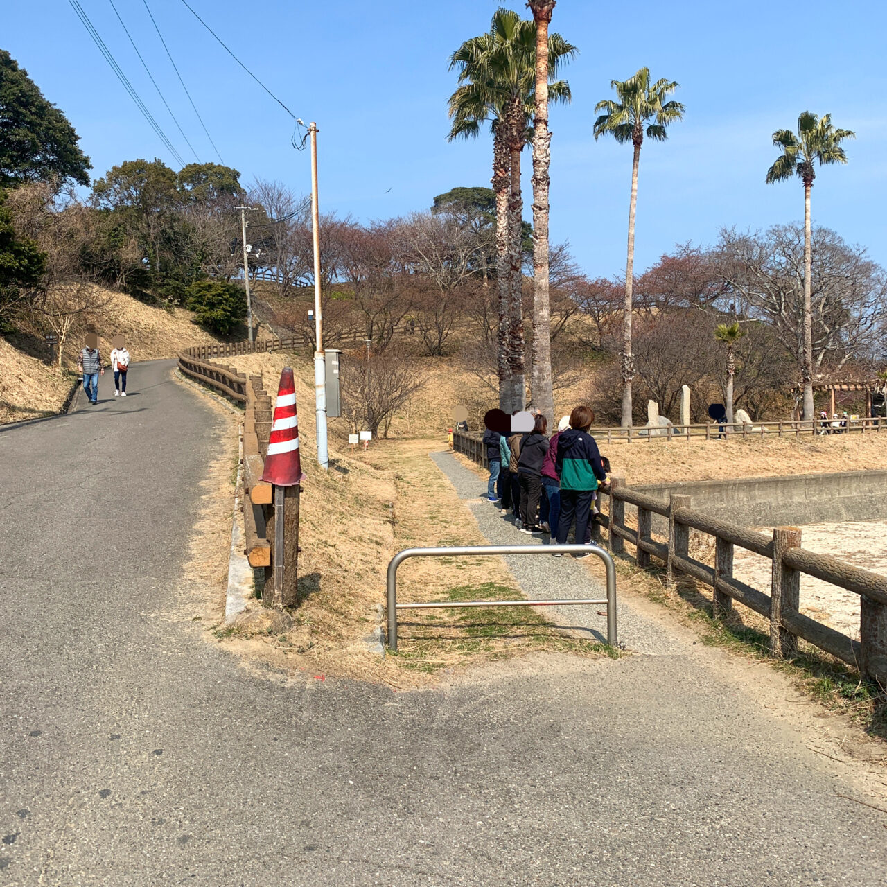 【今治市】3月2日、大角海浜公園で「なみかた河津桜まつり」が開催!