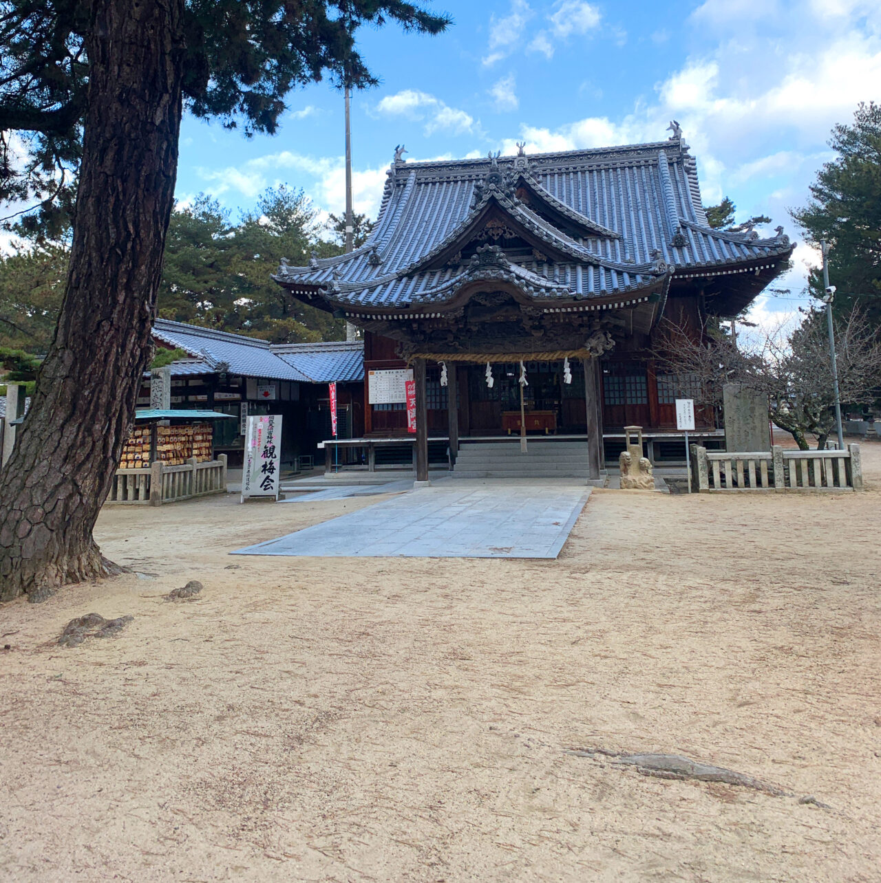 【今治市】2月23日、綱敷天満宮で毎年恒例の「観梅会」が開催予定!!