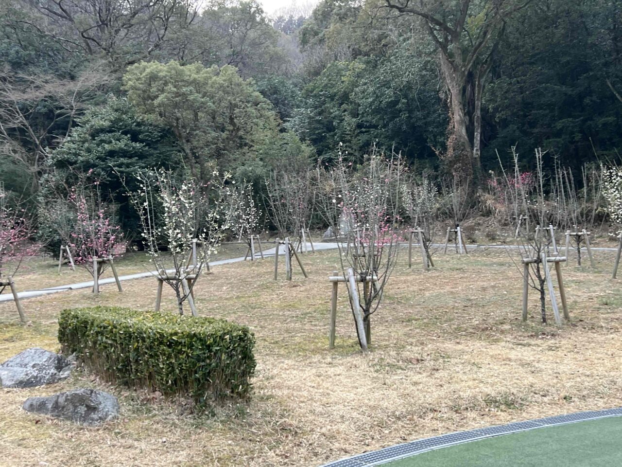 滝の宮公園