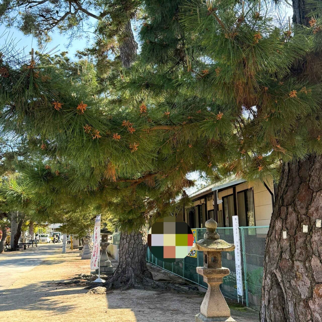 【今治市】こどもの日は綱敷天満神社に集合! 由緒ある一大イベント「例大祭」が近日開催!