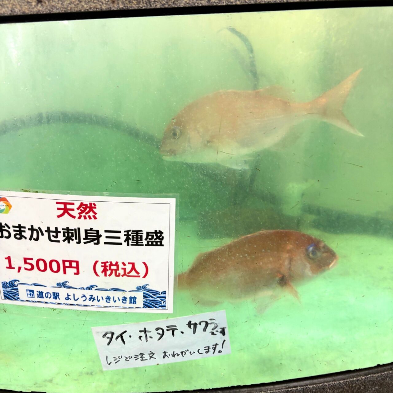 【今治市】お手軽に国産ハマグリや岩ガキで本格BBQ! 「道の駅よしうみいきいき館」の海鮮七輪BBQ