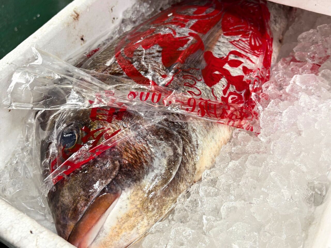 【今治市】おさかな市場で新商品やBBQセットの取り扱いがスタート!!