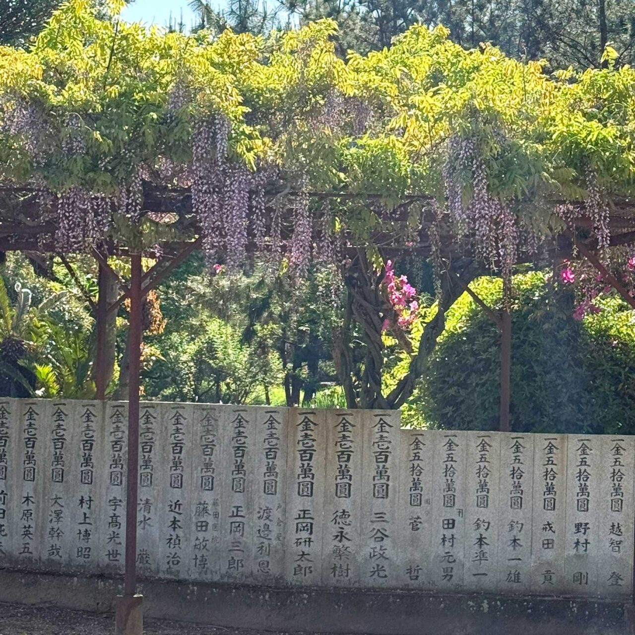 【今治市】5月5日のこどもの日には例大祭! 「綱敷天満神社」の知っていると面白い歴史やルーツについてご紹介!!