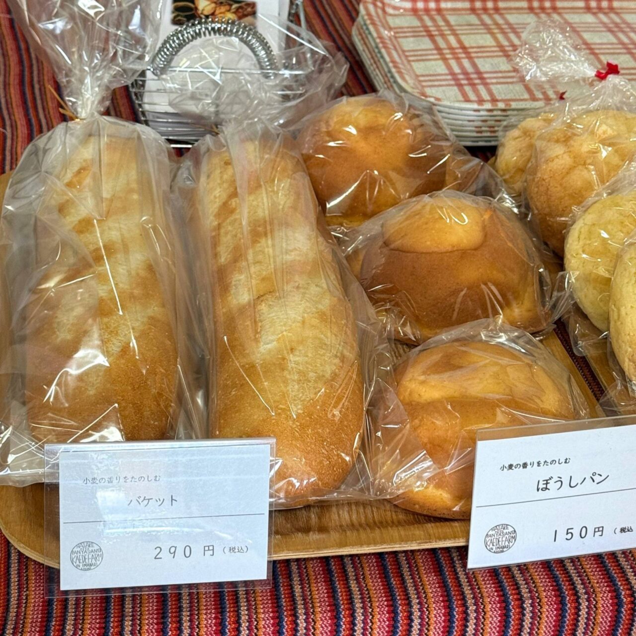 【今治市】週末を彩るごちそうとクラフトが集結! 「なみなみマルシェ」は大盛況でしたよ!