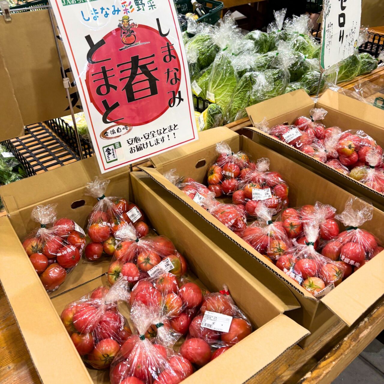 【今治市】旬を満喫しよう! 人気の直売所「さいさいきて屋」で夏を感じられる食材が多数販売中!