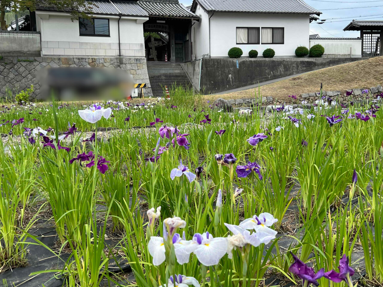 岡崎城