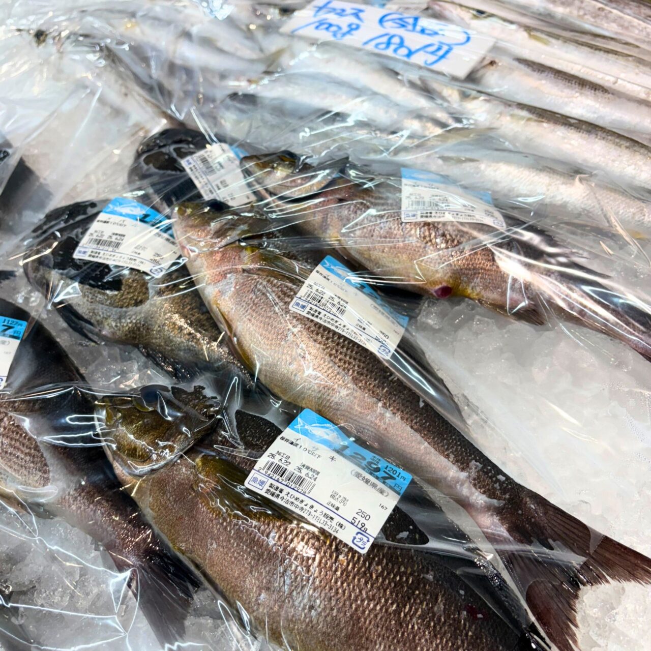 【今治市】旬を満喫しよう! 人気の直売所「さいさいきて屋」で夏を感じられる食材が多数販売中!