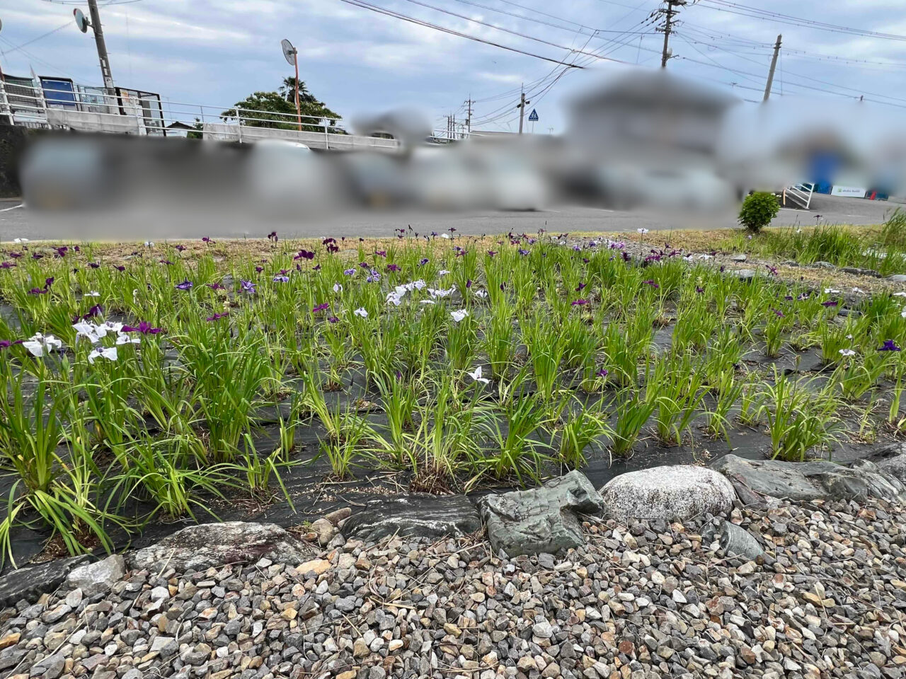 岡崎館