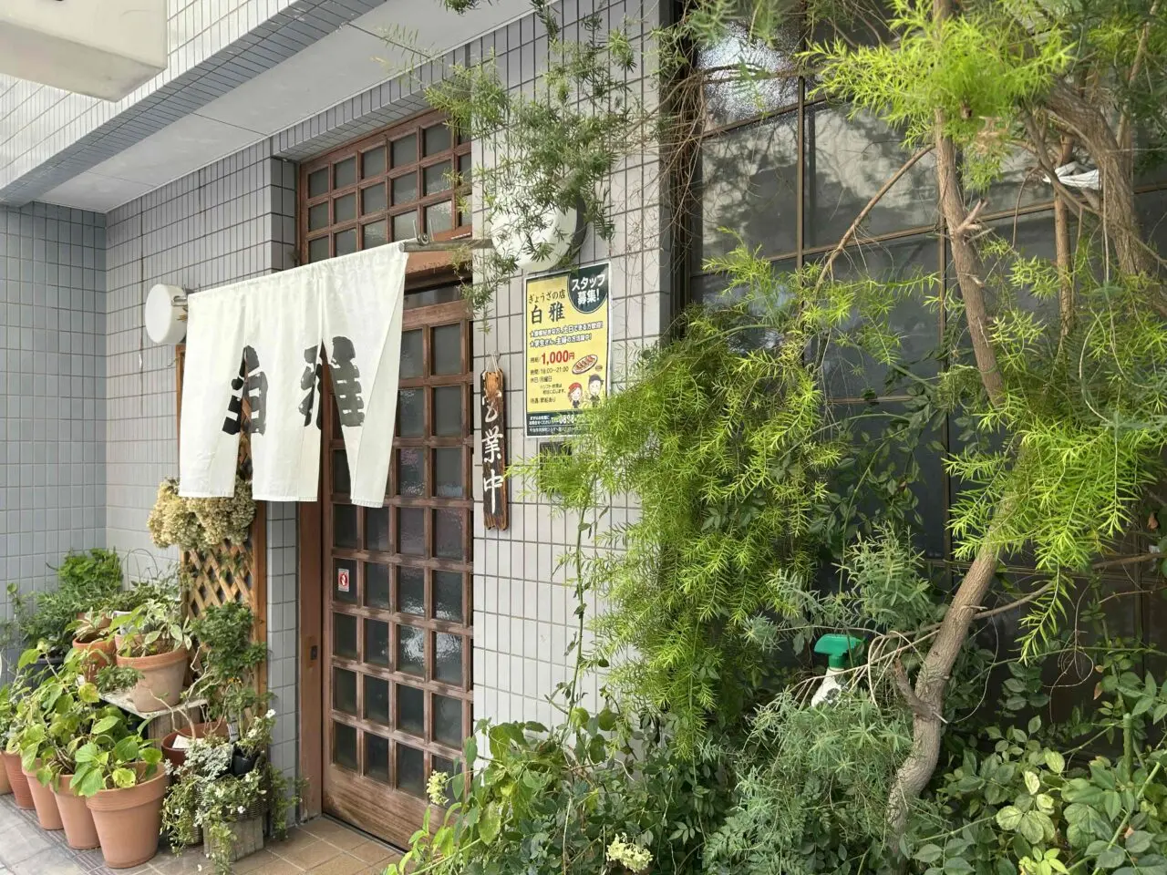 【今治市】人気餃子店「白雅」の夏の風物詩「冷麺」の秘密!