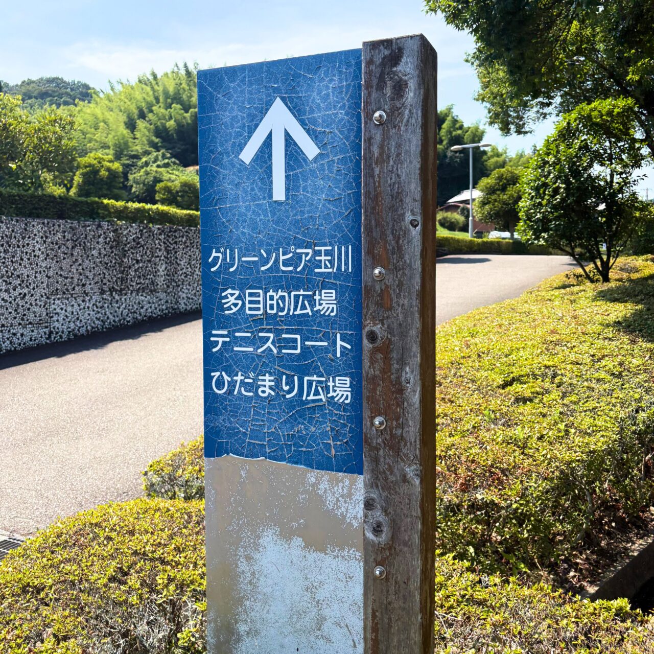 【今治市】8月9日は玉川総合公園に集まれ!　玉川町のお祭り「ザ・BONフェスタ」が今年も開催!