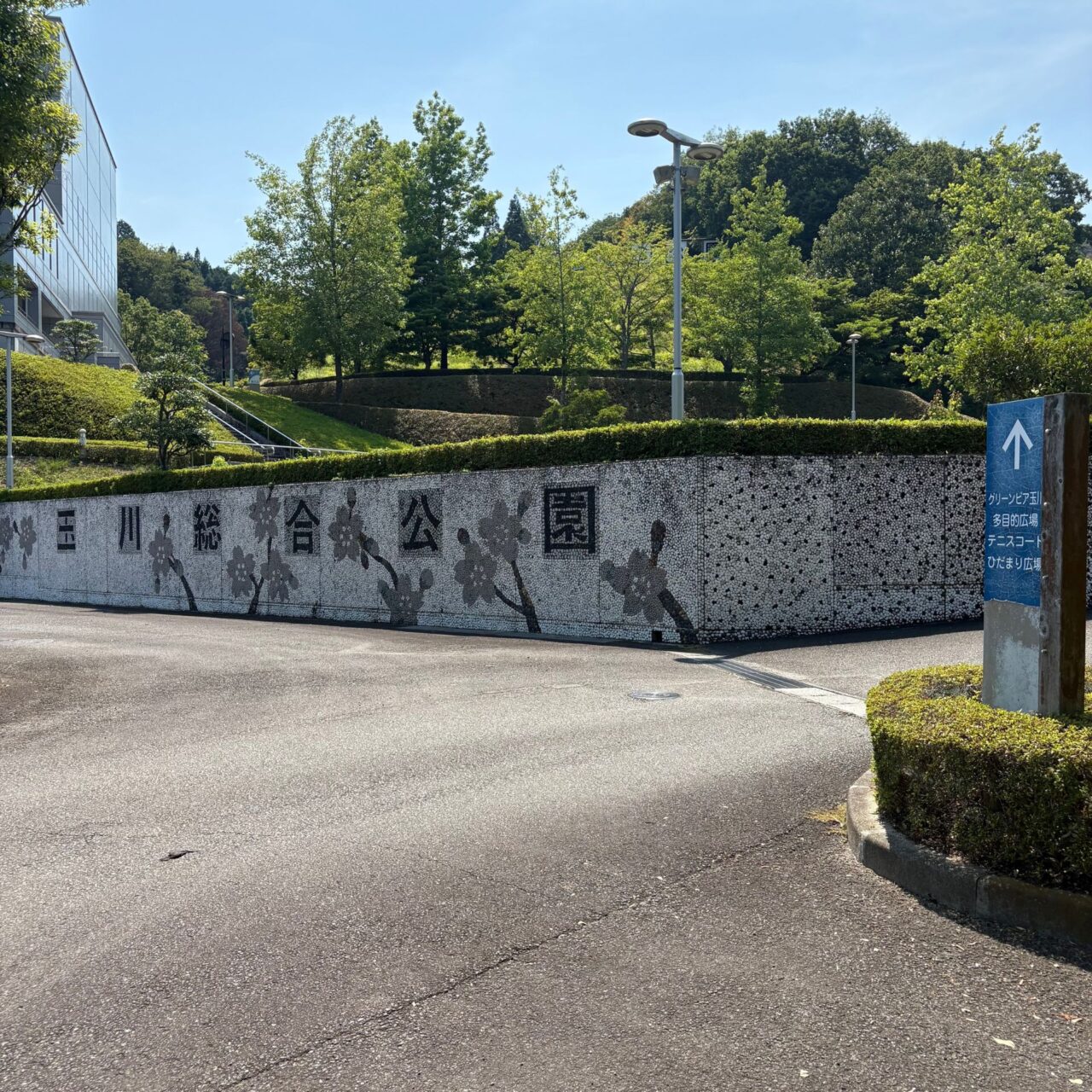 【今治市】8月9日は玉川総合公園に集まれ!　玉川町のお祭り「ザ・BONフェスタ」が今年も開催!