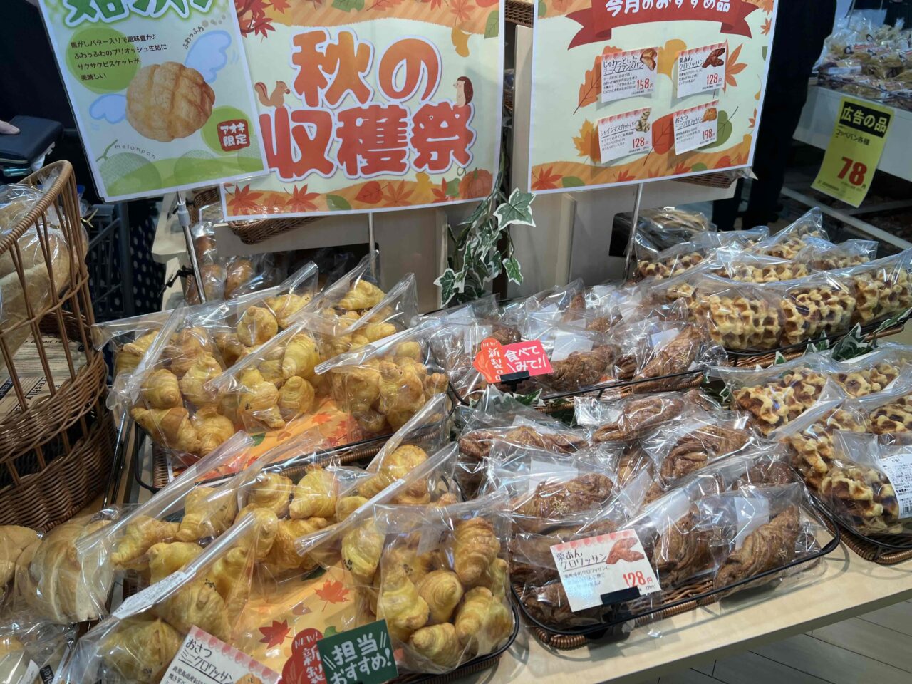 アオキ