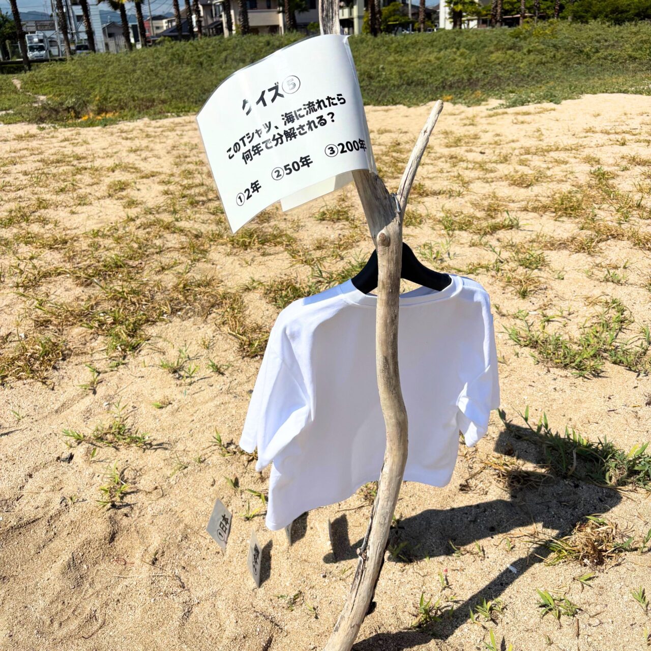 【今治市】織田ヶ浜にお洒落なTシャツが大集合! 「せとうちTシャツアート展」にお邪魔してみました!
