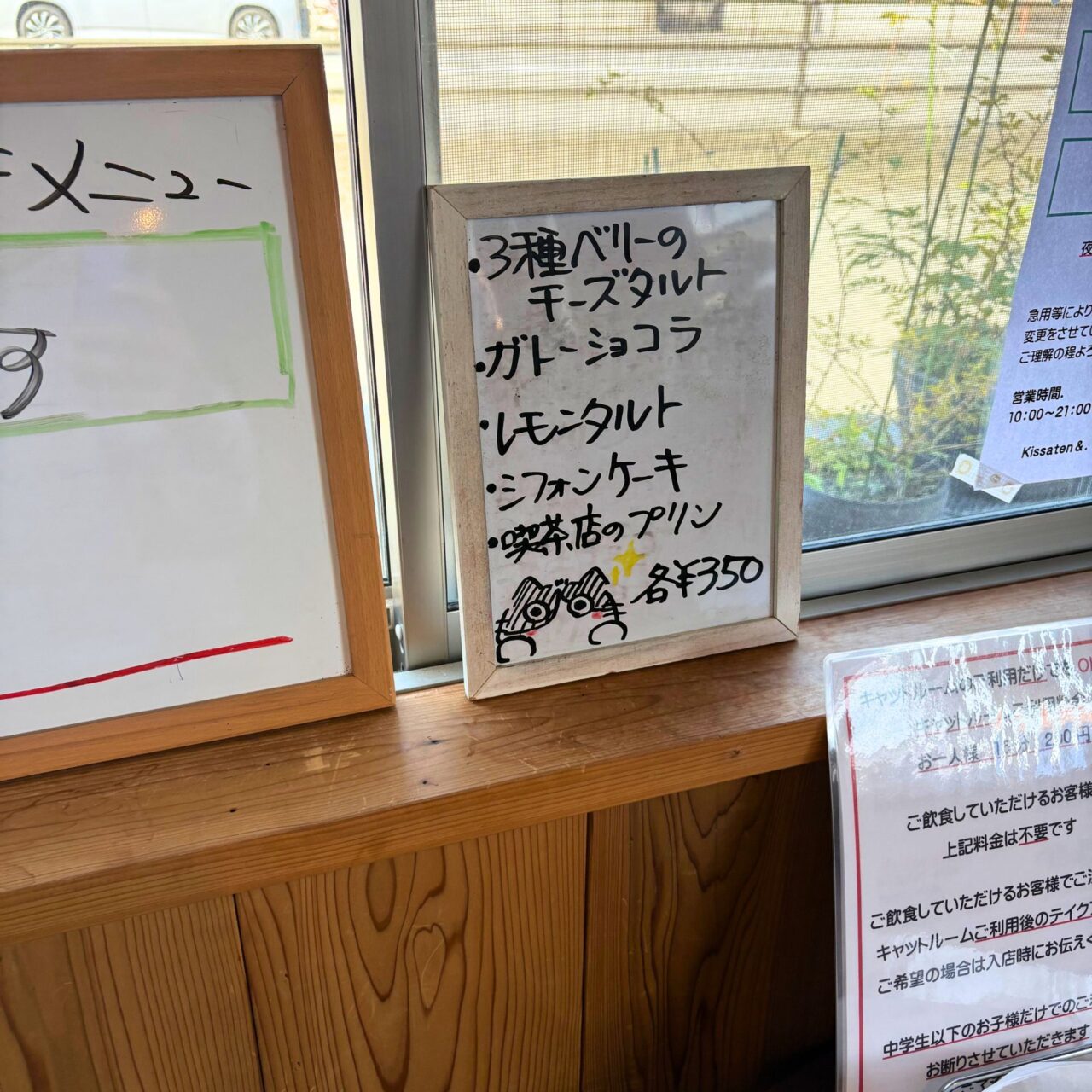【今治市】宮下町の「Kissaten&.」では猫ちゃんと戯れる至福の時間を体験できます