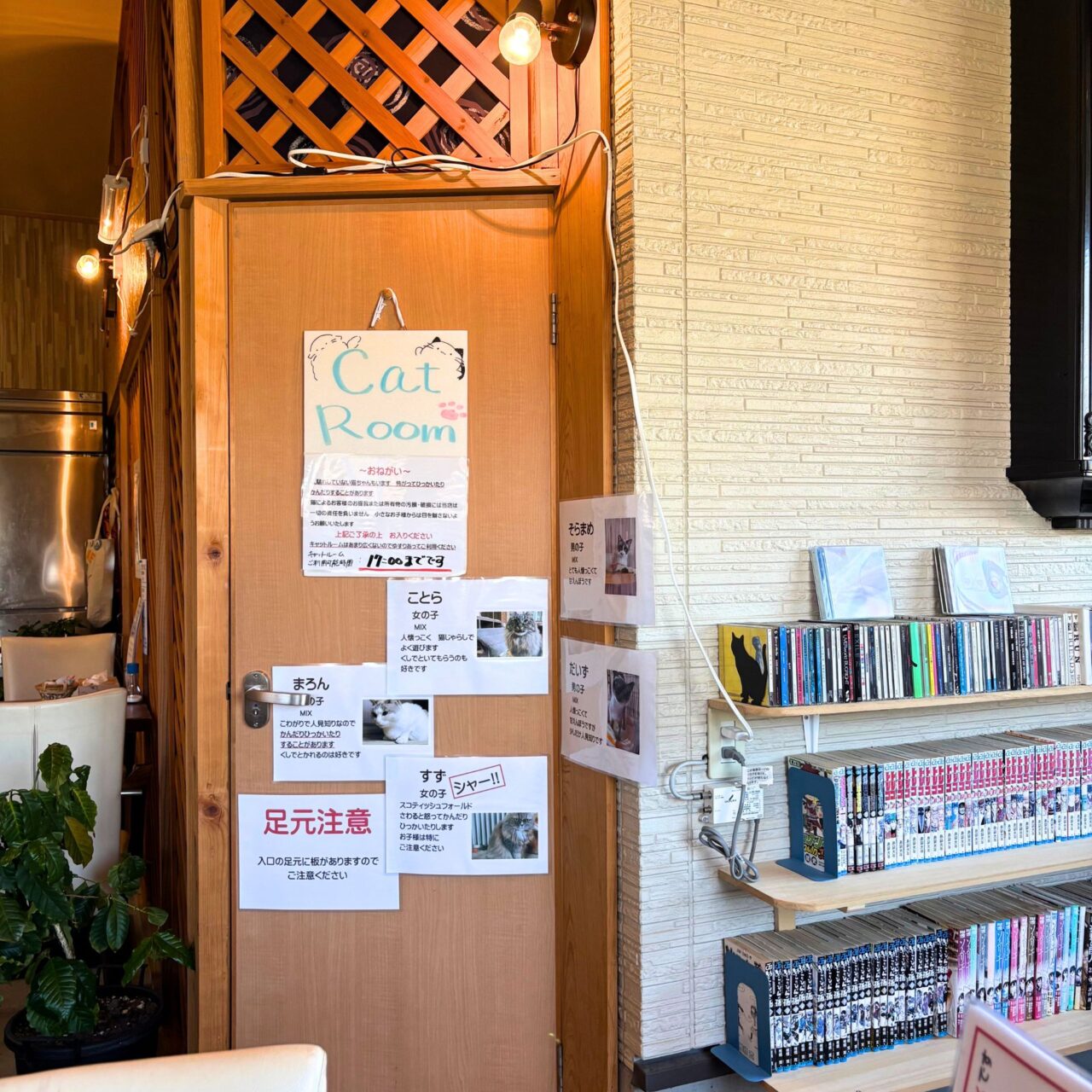 【今治市】宮下町の「Kissaten&.」では猫ちゃんと戯れる至福の時間を体験できます