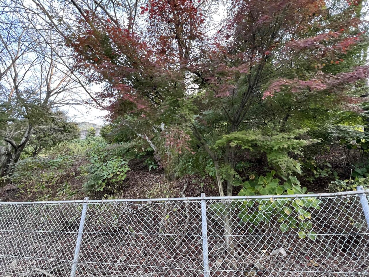 あじさいロード