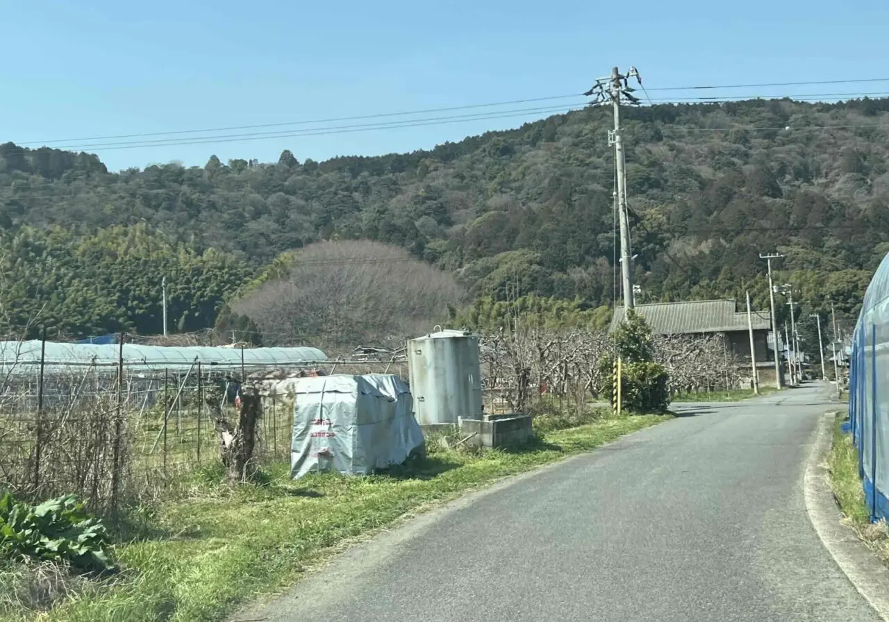 熊野神社